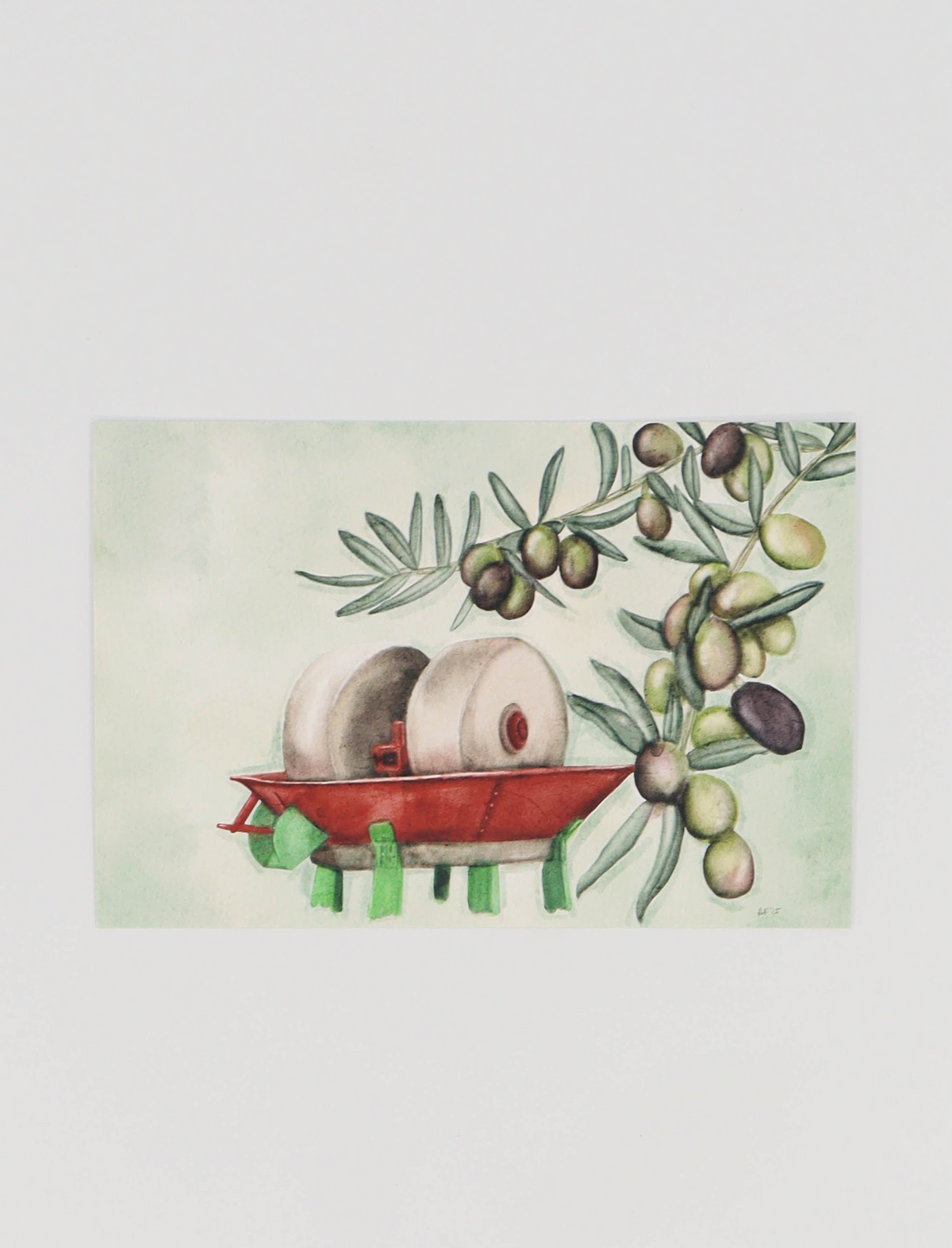 DOLCE VITA WATERCOLOR OLD STONE MILL AND OLIVE BRANCH DESIGN PREMIUM FINISH POSTCARD