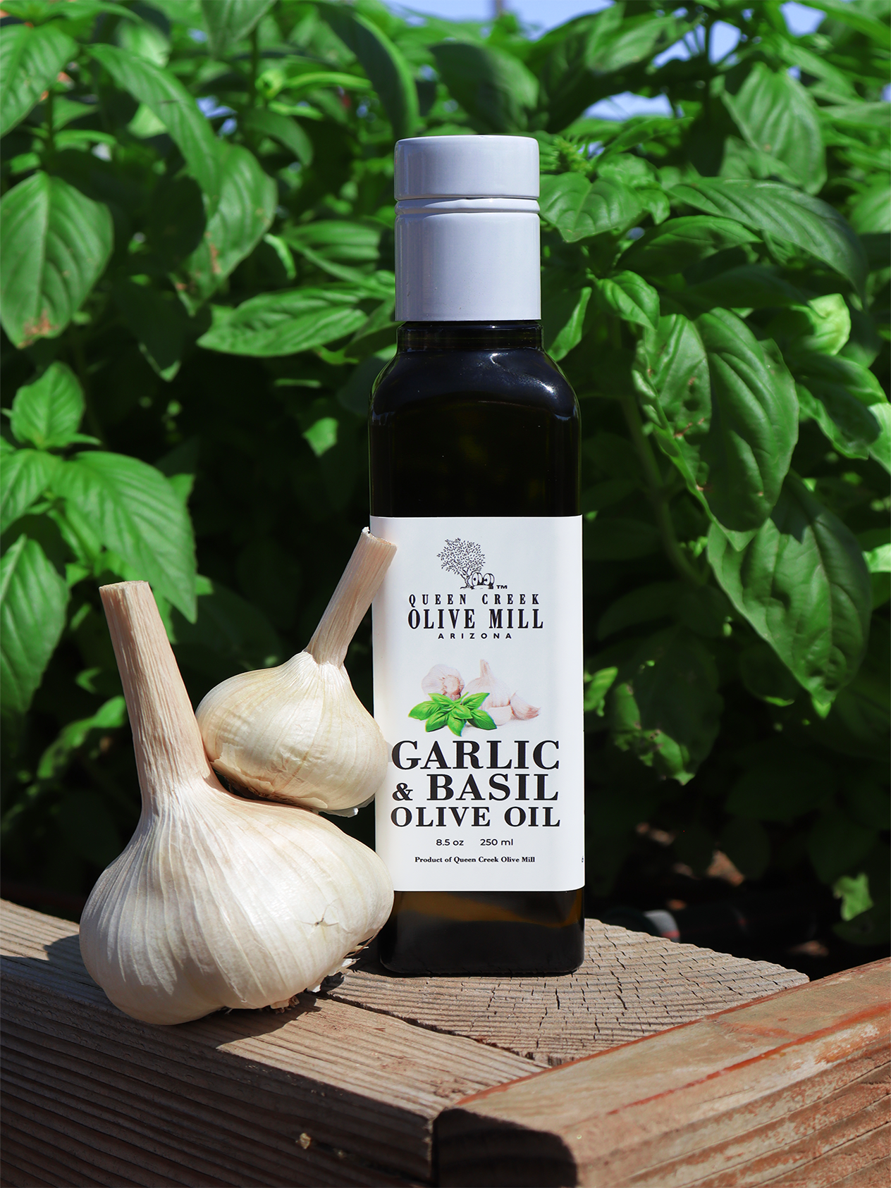 GARLIC & BASIL OLIVE OIL