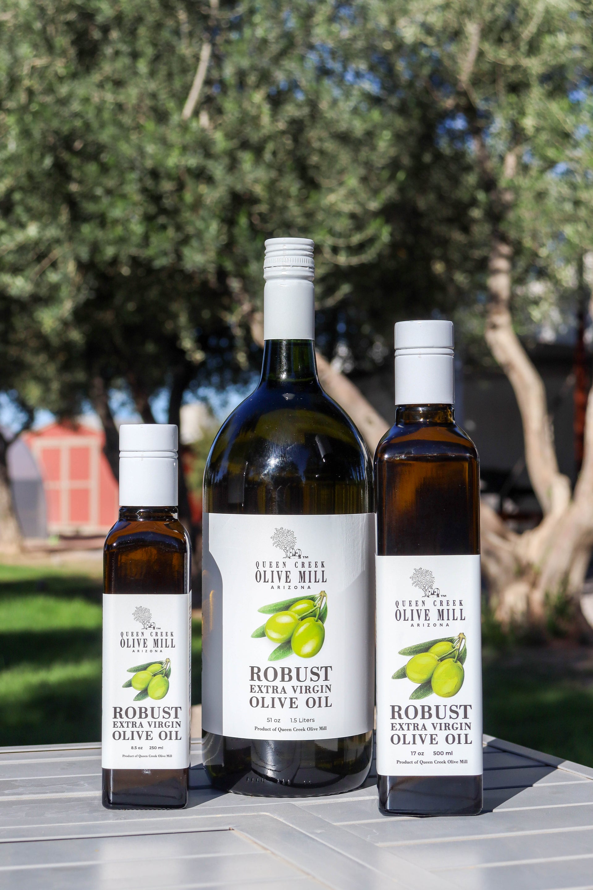 ROBUST EXTRA VIRGIN OLIVE OIL