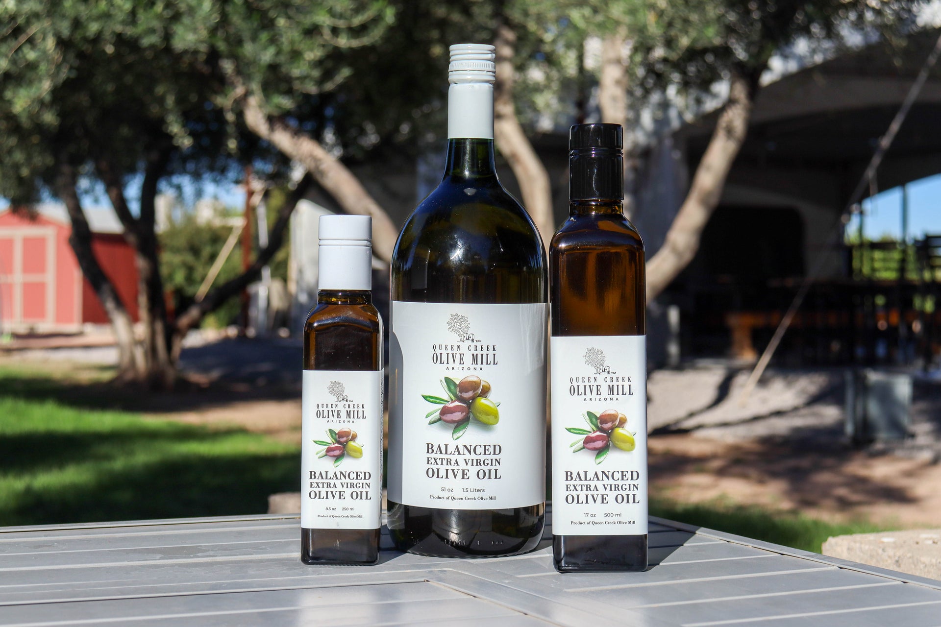 BALANCED EXTRA VIRGIN OLIVE OIL