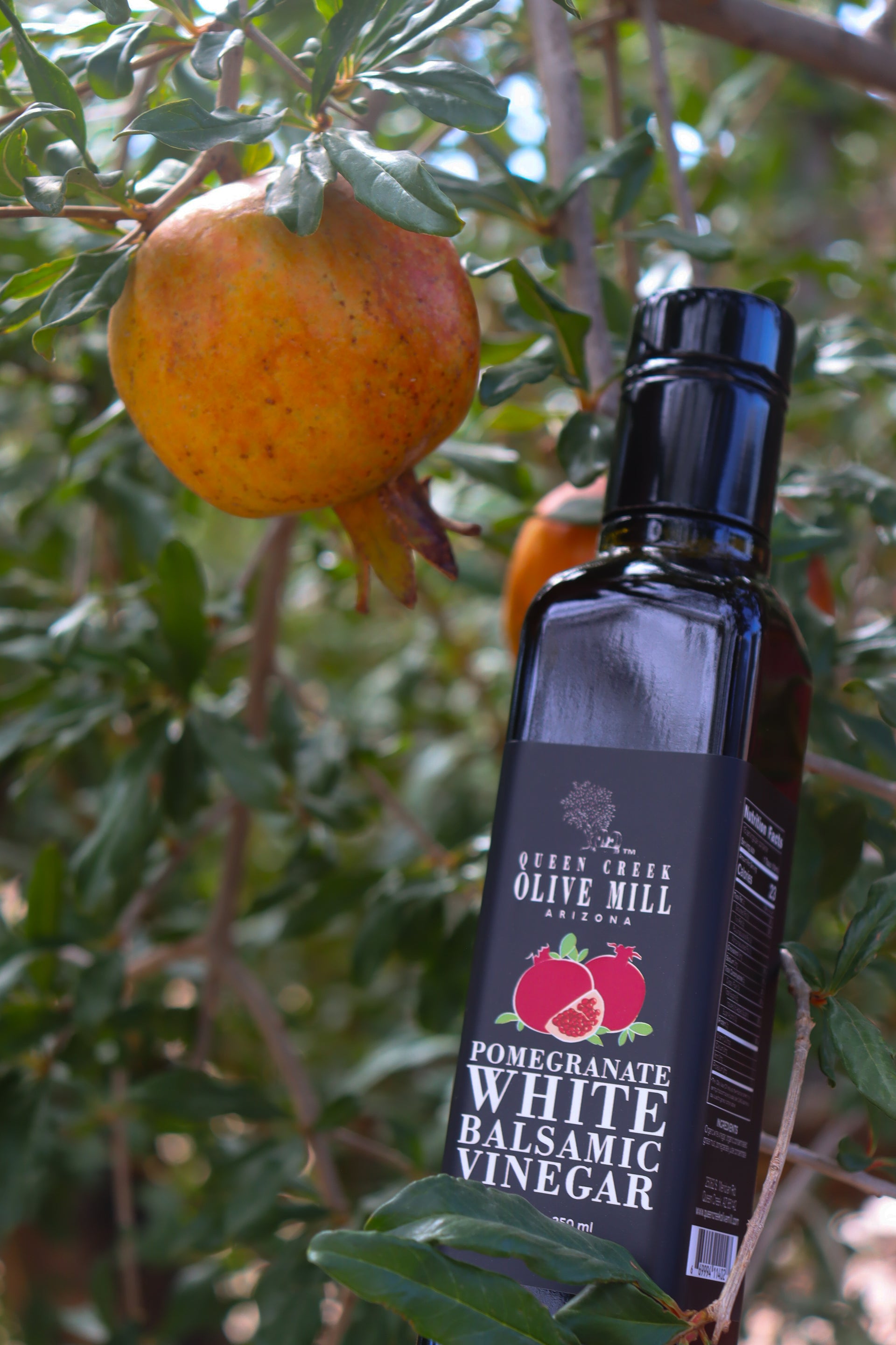POMEGRANATE WHITE BALSAMIC VINEGAR
